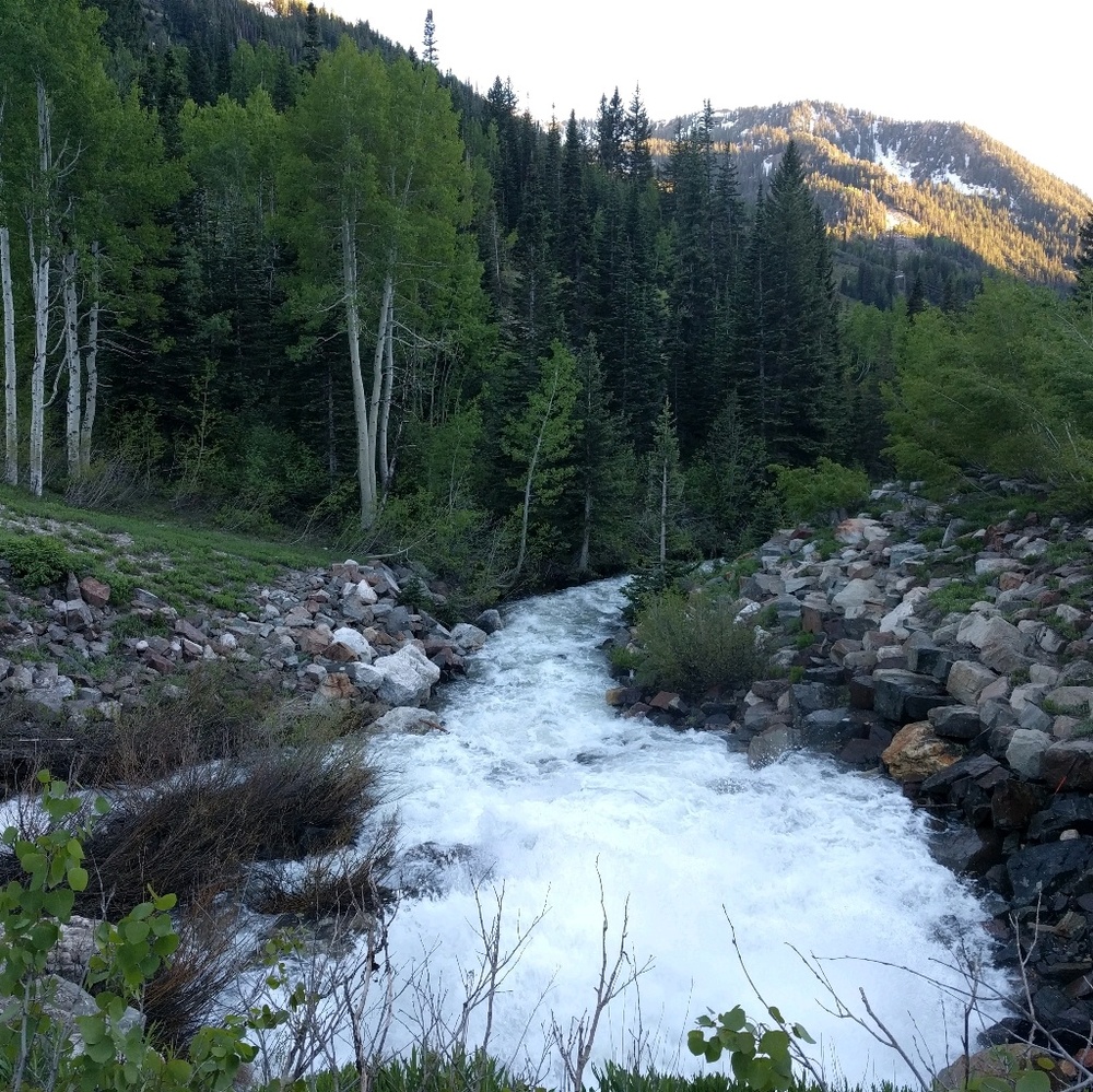 Meet your Posher, Cristina